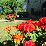 Cortebonomini Entire Sasso (Parma)