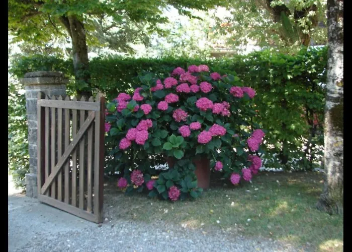 Cortebonomini Entire * Sasso (Parma)