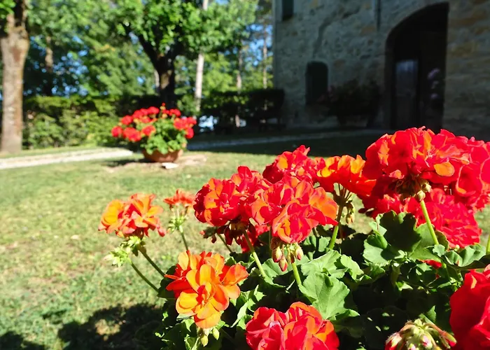 Cortebonomini Entire Sasso (Parma)